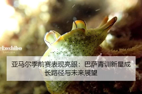 ya-ma-er-ji-qian-sai-biao-xian-liang-yan-ba-sa-qing-xun-xin-xing-cheng-zhang-lu-jing-yu-wei-lai-zhan-wang-1-425.jpg